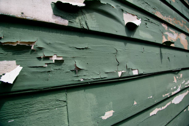 Affordable Siding Repair and Maintenance Services in Dallas, NC